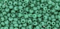 robins egg turquois maat 11